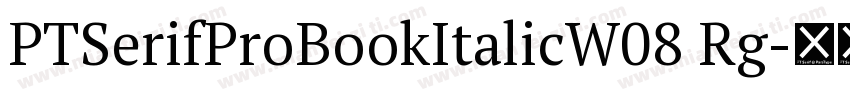 PTSerifProBookItalicW08 Rg字体转换